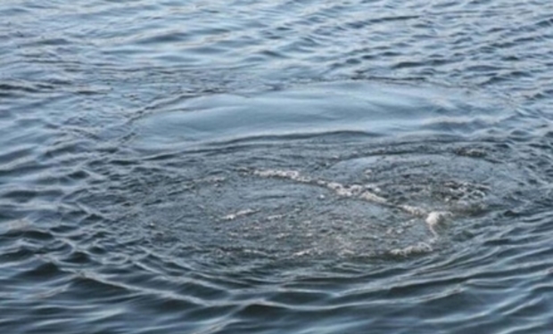 В Иршавском районе в одном из частных водохранилищ нашли утонувшего