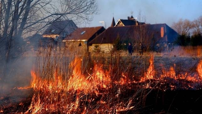 Разом із весняним потеплінням на Закарпаття приходять пожежі в екосистемах.