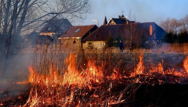 Вместе с весенним потеплением на Закарпатье приходят пожара в экосистемах. 