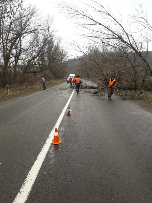 На автодорозі державного значення на ділянці від Ужгорода до Перечина тривала обрізка аваріних дерев.