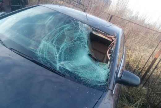 У селі Терново на Тячівщині трапилась смертельна аварія, внаслідок якої загинув велосипедист. За даним фактом правоохоронці розпочали слідство.
