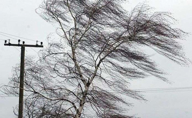 У низці областей України, на сьогодні, 3 листопада, оголосили штормове попередження через посилення вітру.