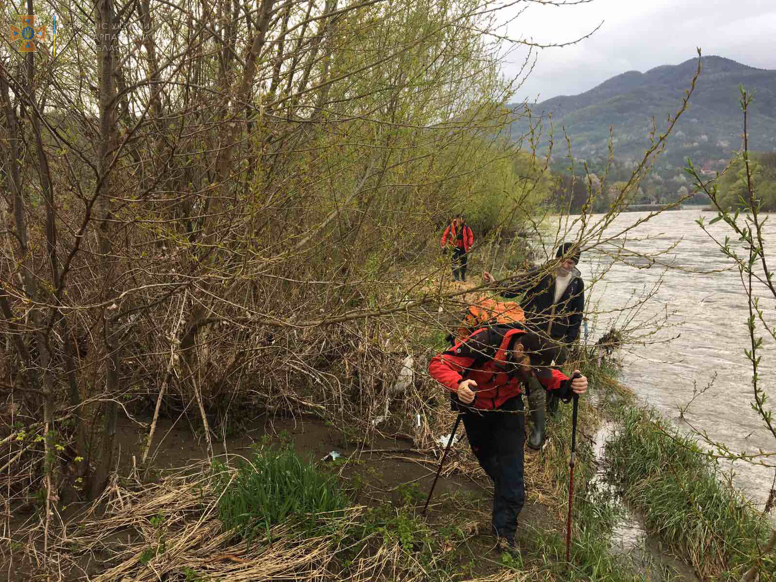 18 мая в 10:00 в Эсы Закарпатья поступило сообщение от дежурного Хустского РОВД об обнаружении тела на берегу реки Тиса близ Хуста.