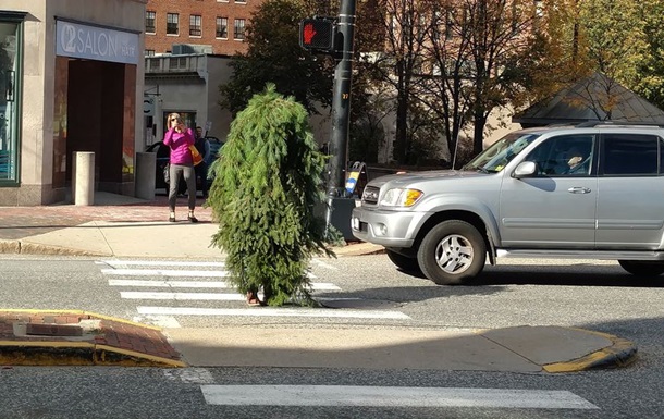 В американському місті Портленді був помічений чоловік, переодягнений як дерево, який спровокував дорожні пробки. Очевидці зняли подію на відео і опублікували в мережі, передає The Mashable.
