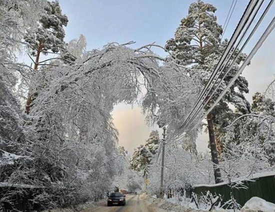 Станом на 06:00 18 грудня через налипання мокрого снігу відключено від електропостачання 20 населених пунктів на території Тячівського, Хустського та Рахівського районів ( 5 повністю та 15 частково) .