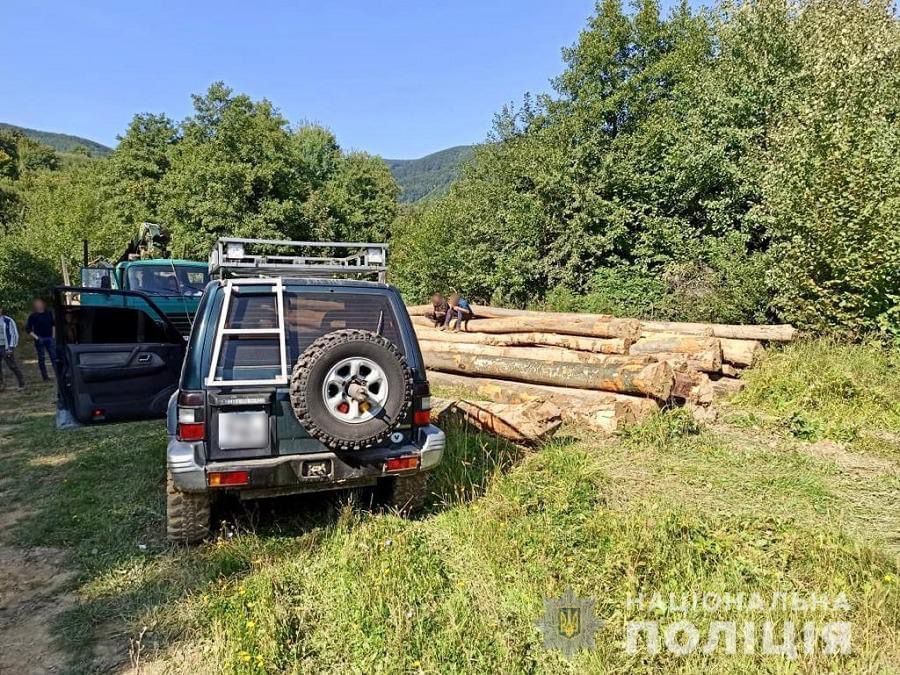 У поліції Закарпаття повідомили про підозру місцевому підприємцеві за незаконну вирубку лісу зі збитками на майже пів мільйона гривень