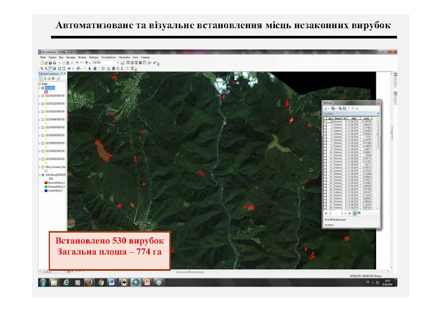 112 ділянок загальною площею 128 га суцільної фактичної вирубки в Мукачівському лісгоспі  не збігаються з нормативними вирубками лісів.