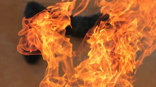 Вогнем пошкоджено газову плиту та частину домашнього майна.