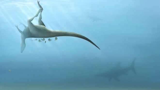 Вчені з Саутгемптонського університету знайшли на британському острові Вайт чотири кістки, які, як вони припускають, належать невідомому досі виду динозаврів.

