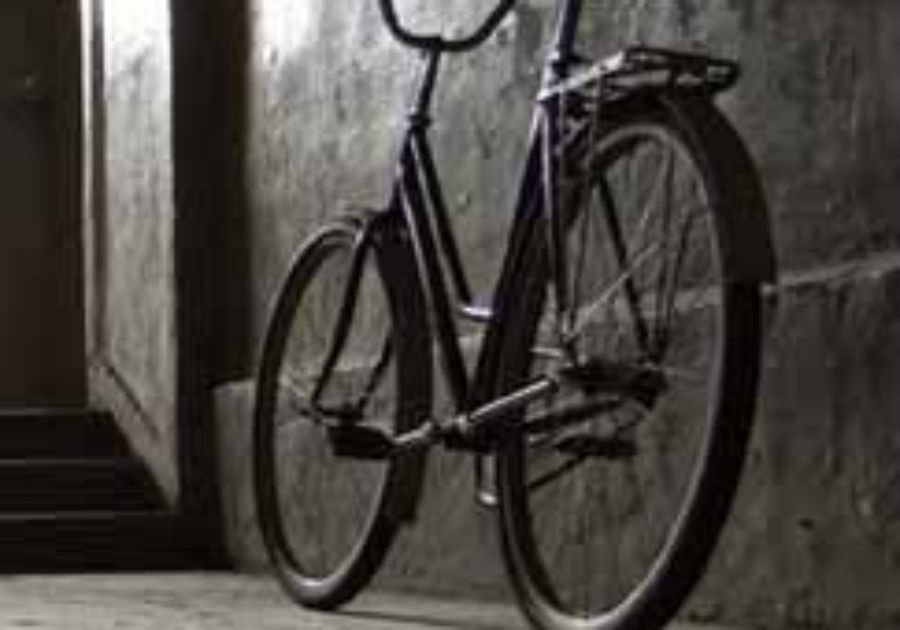 До чергової частини Мукачівського  відділення поліції надійшла інформація про те, що в с.Страбичово з подвіря 32-річного жителя невідомий викрав велосипед вартістю 700 гривень.