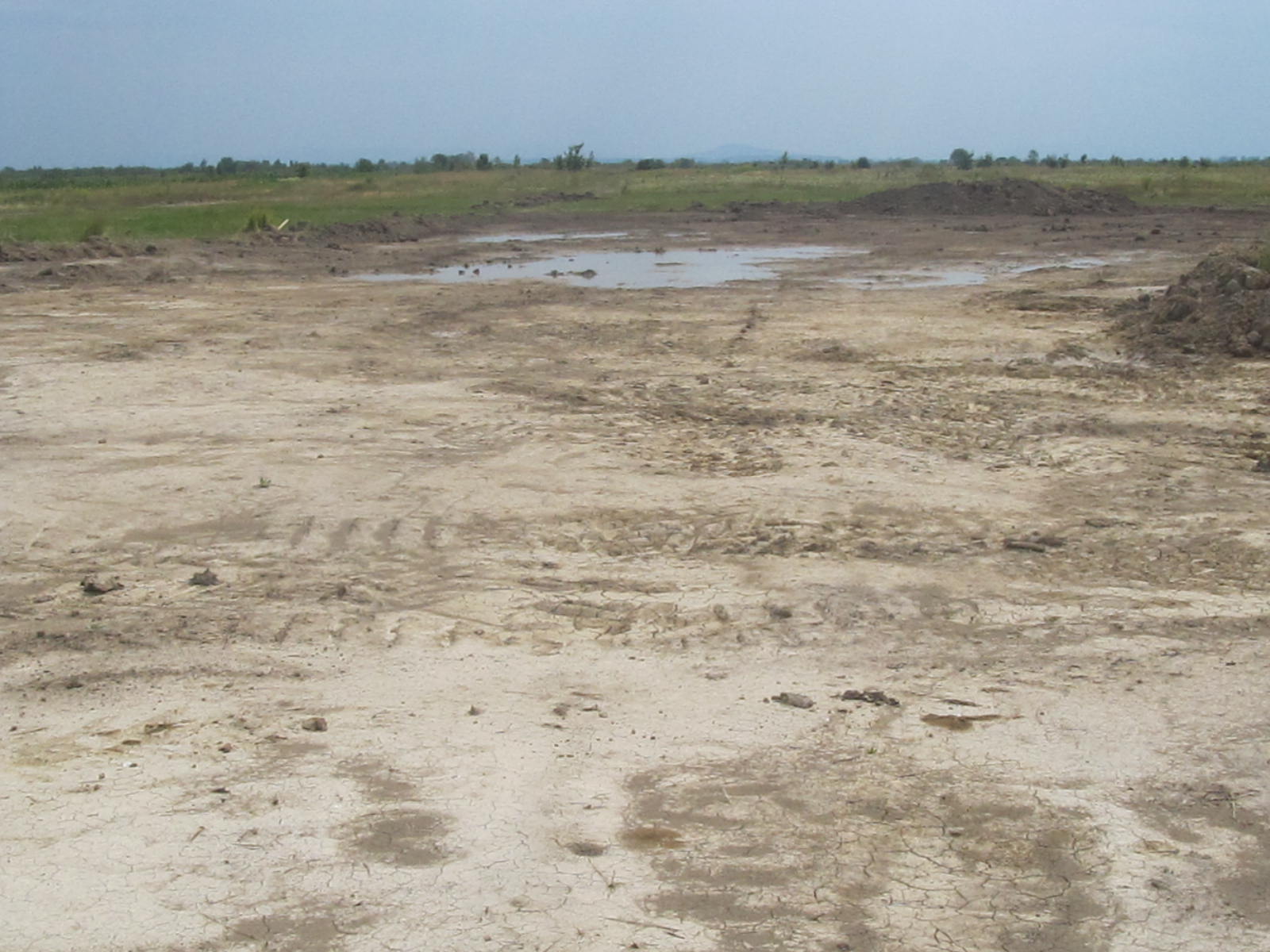 На Берегівщині село має заплатити собі компенсацію для будівництва свого ж сміттєпереробного заводу