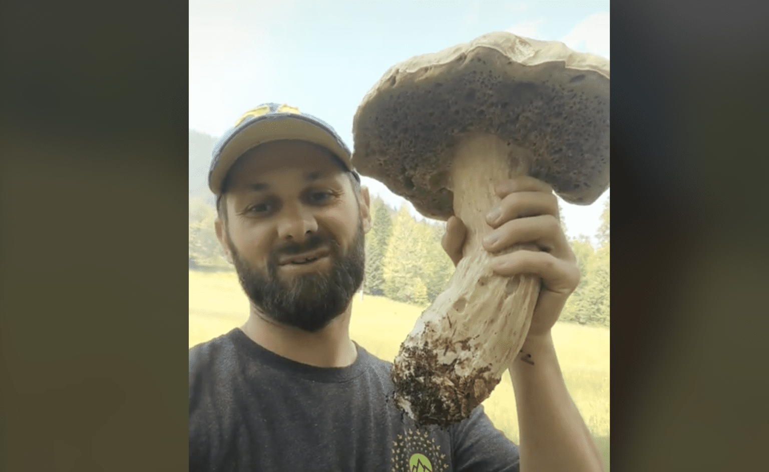 В среду, 28 июля, украинец случайно обнаружил гигантский белый гриб во время прогулки по лесу.