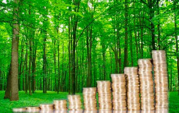З початку року зарплата закарпатських лісівників склала 9659 грн., тобто ріст проти аналогічним періодом минулого року на 2372 грн., або 133%.
