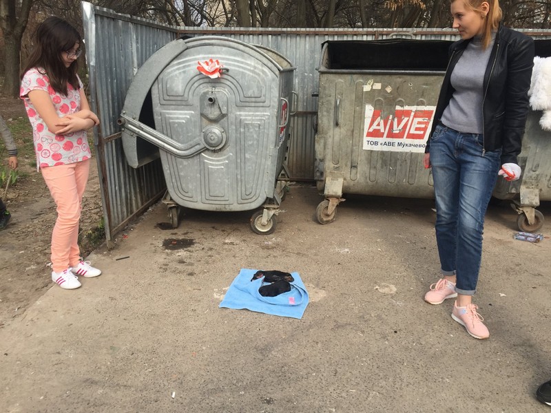 У Мукачеві на смітнику знайшли двох новонароджених цуценят.