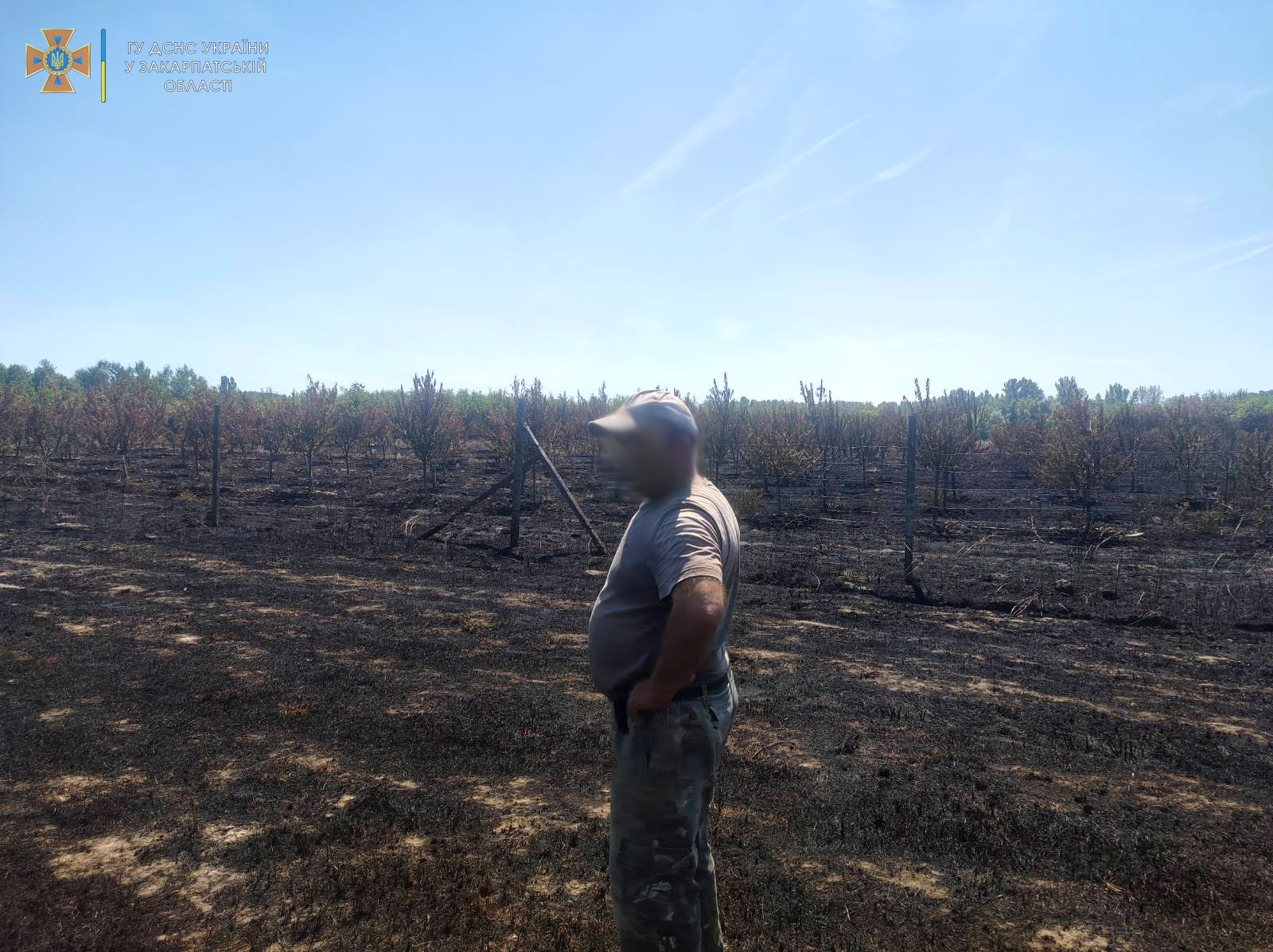 У селі Малі Геївці Ужгородського району 65-річний чоловік підпалив суху траву, вогонь із якої перекинувся на сусідський яблуневий сад.
