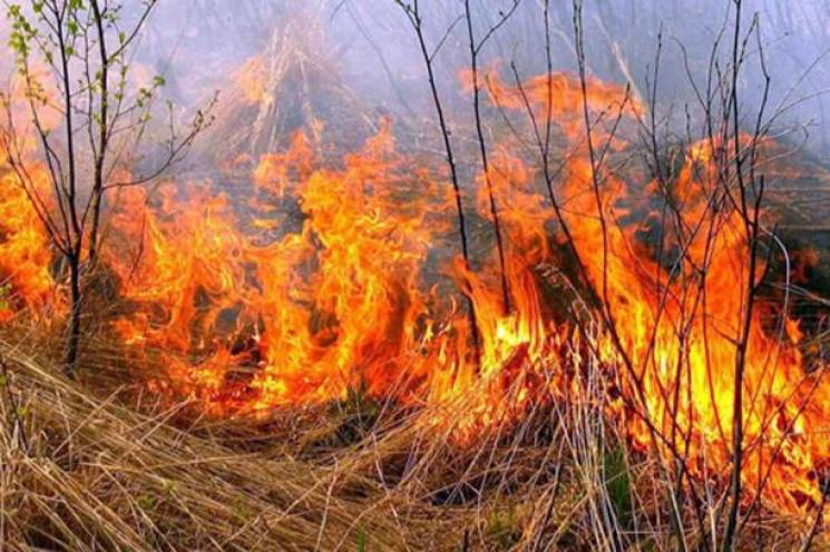 На більшій частині території Закарпатської області збережеться висока та місцями надзвичайна пожежна небезпека.