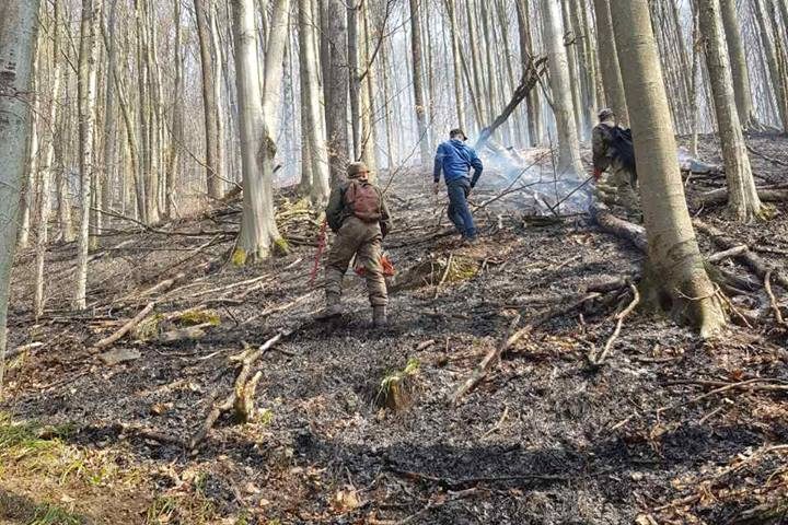 У лісовому фонді ДП «Перечинський лісгосп» знову пожежа.