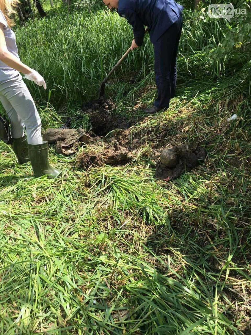 Біля смт. Середнє, на Ужгородщині, знайшли труп невідомої статі, закопаний у землю.