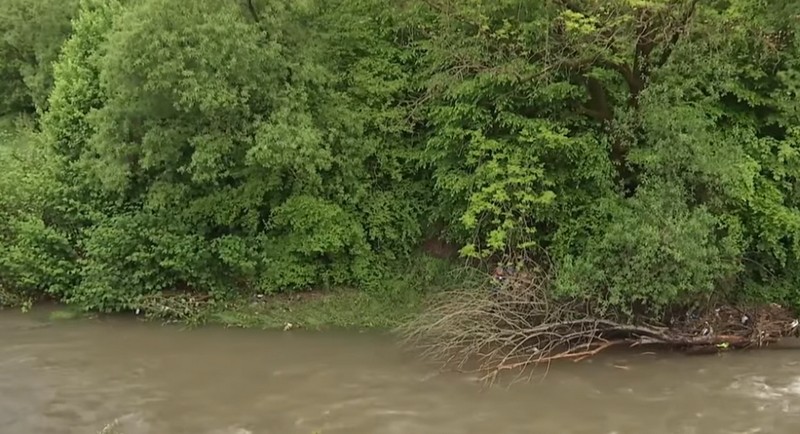 Тіло школяра зачепилося за коріння дерев у воді: журналісти розповіли подробиці трагедії на Закарпатті (ВІДЕО)