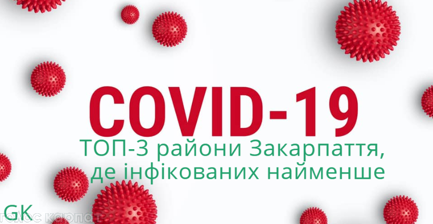 Станом на сьогодні, 12 травня, на 3акарпатті зареєстровано 748 випадків інфікування коронавірусом. 
