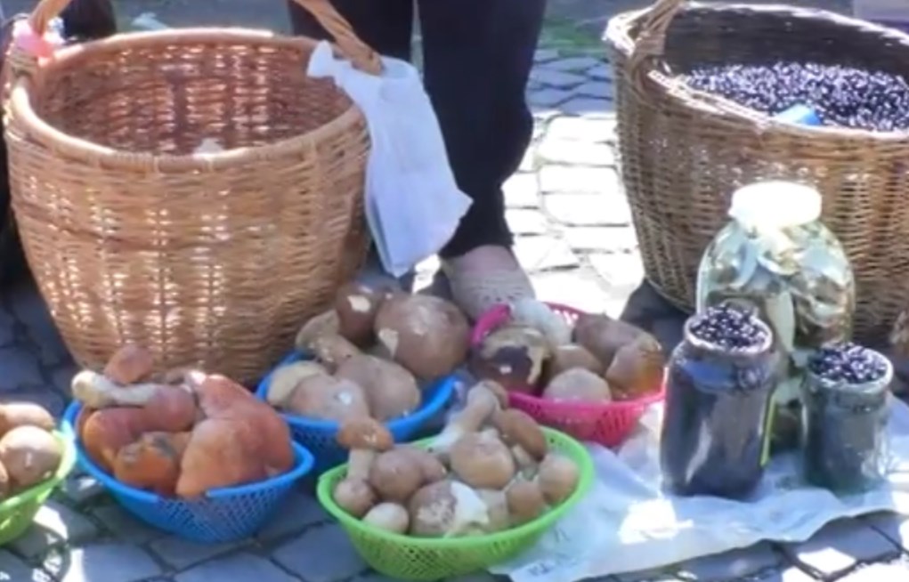 На ринках Ужгорода масово продають гриби та лісові ягоди / ВІДЕО