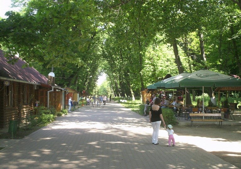 В Боздошском парке по пешеходным дорожкам ездят авто / ФОТО