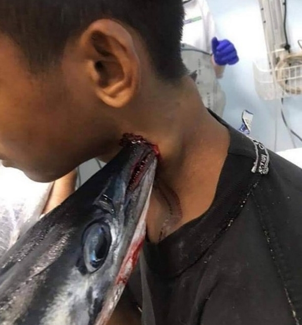 Сумно закінчилася морська рибалка для 16-річного жителя села на півдні Індонезії Мухаммада Ідула. 