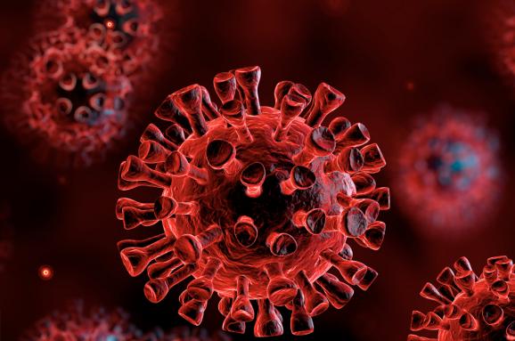Как сообщили в Закарпатской ОГА, за последние сутки 23 лицам диагностирован коронавирус.