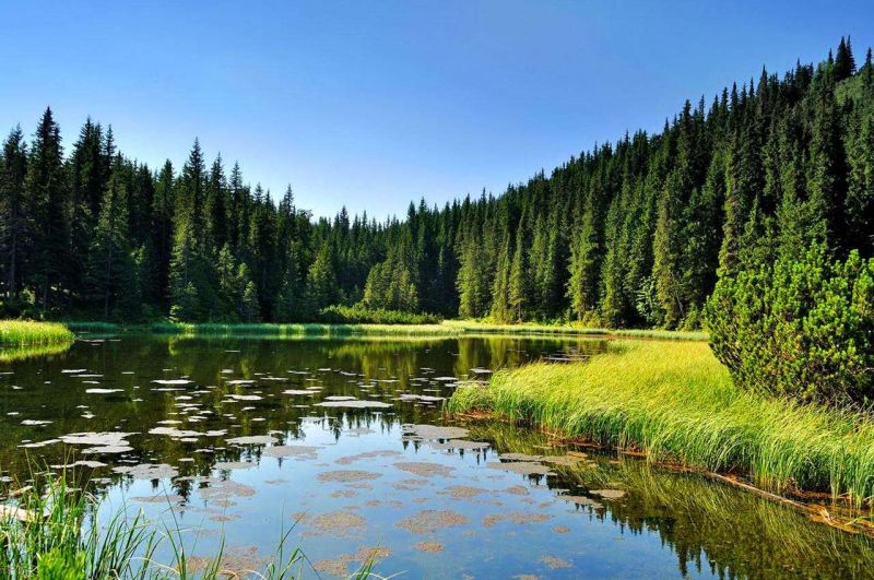 Україна багата на мальовничі водойми. Та чи не найгарніші українські озера знаходяться там, де ближче до неба – в Карпатах, поєднуючи в собі красу навколишніх гір та недоторкану чистоту природи.

