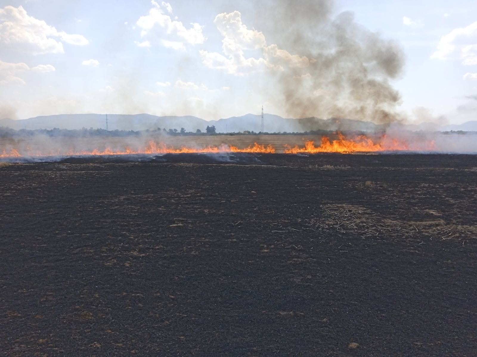 На Тячівщині, під час роботи у полі, виникло загорання зернозбирального комбайну Claas Medion 310.
