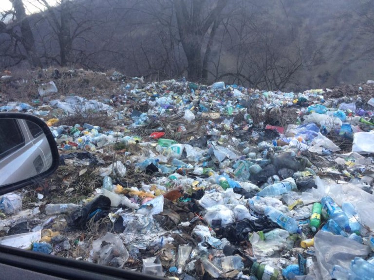 Нижній Бистрий, як і більшість закарпатських сіл, просто «потопає» у смітті. 