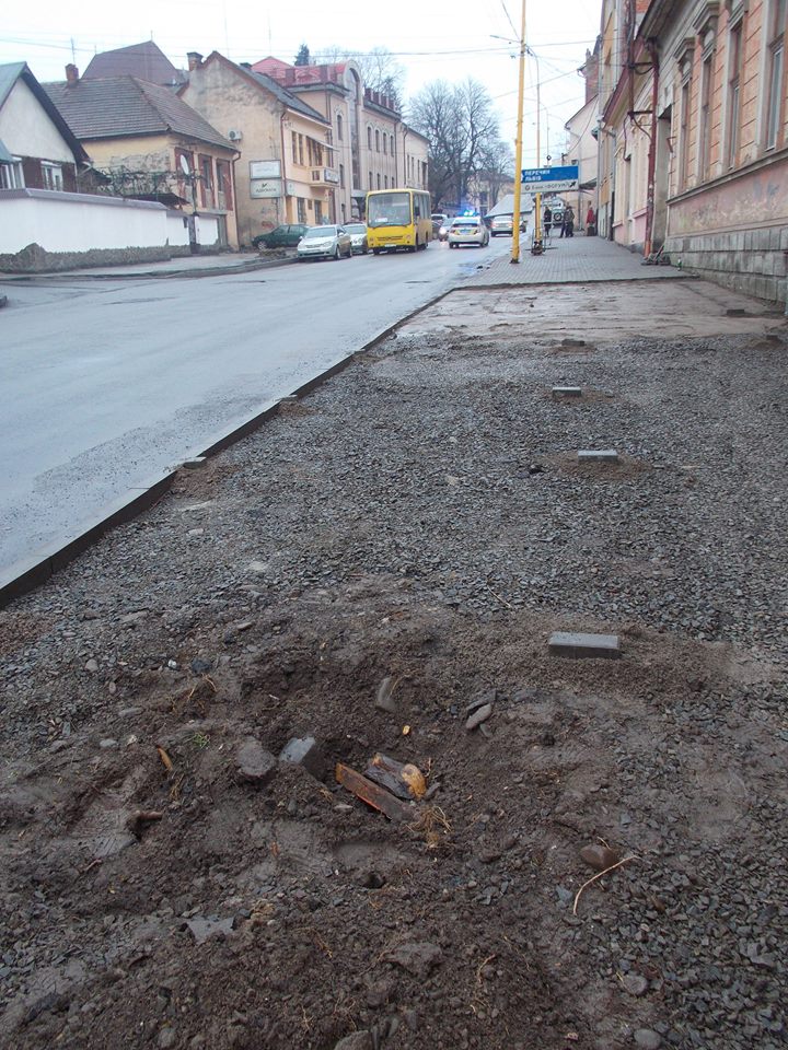 Ежедневно городской совет анонсирует обрезку веток, пеньков и деревьев. Так случилось и на улиц Собранецькій. 