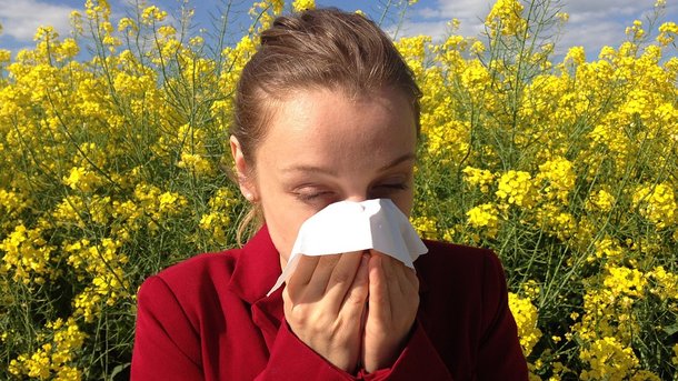 Багато біологів вважають, що алергія розвивається через те, що людина живе в дуже чистих умовах.