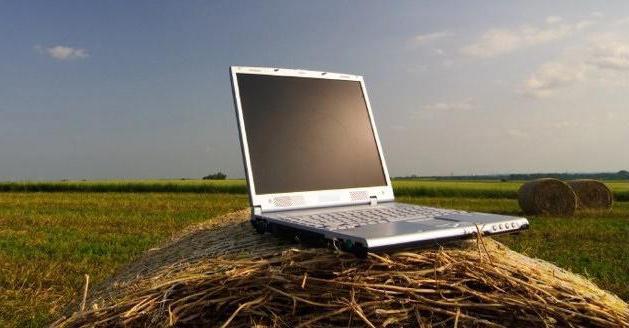 За даними Державної служби статистики Закарпатська область займає перше місце по доступу сільського населення до мережі Інтернет.

