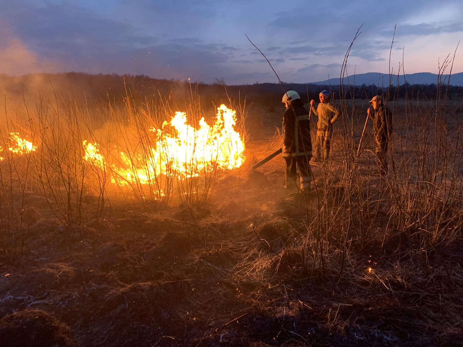 "Пожежі в екосистемах": закарпатцям нагадали про збільшення штрафів за спалювання сухостою