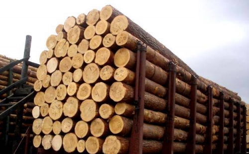 Москаль запретил выдавать сертификаты о происхождении круглых лесоматериалов и изготовленных из них пиломатериалов для осуществления экспортных операций в части экспорта круглых необработанных материалов