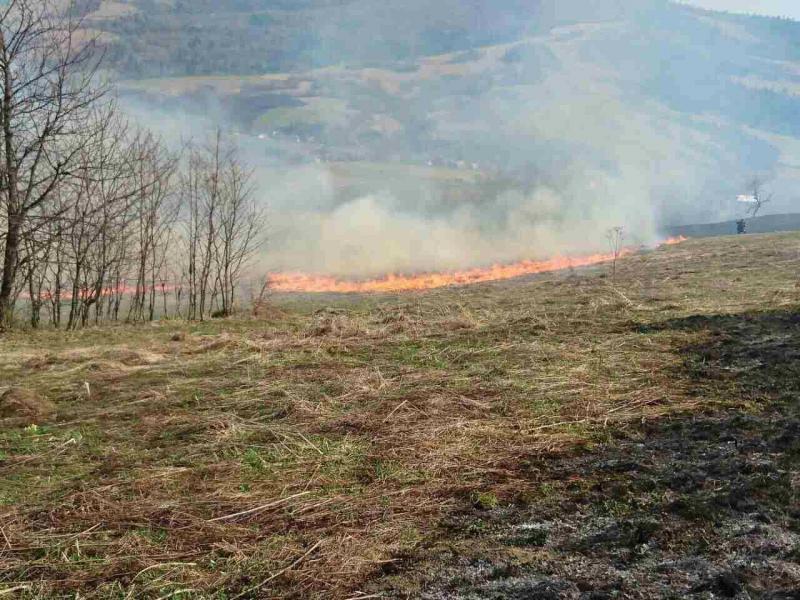 На горі Ловачка,що у м. Мукачево знову горить суха трава та чагарники на площі близько 4 га.

