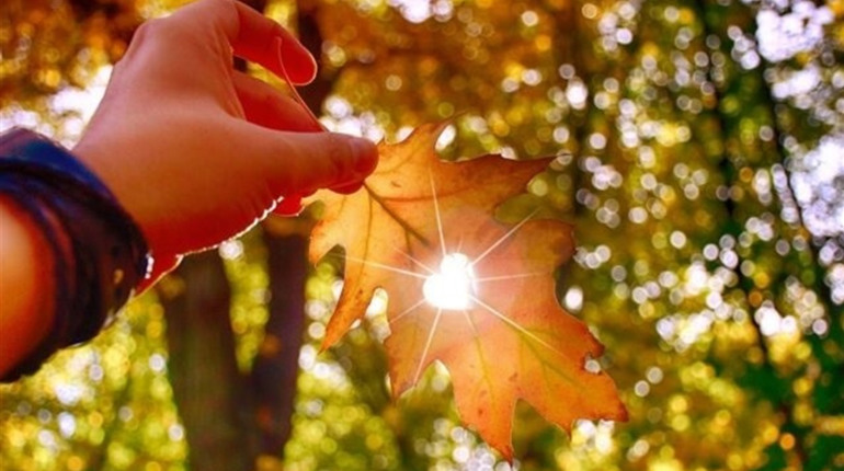 Жовтень в Україні обіцяє бути теплим місяцем. Вже з 12 жовтня очікується припинення опадів, і аж до 20-х днів погода буде сонячною та теплою.