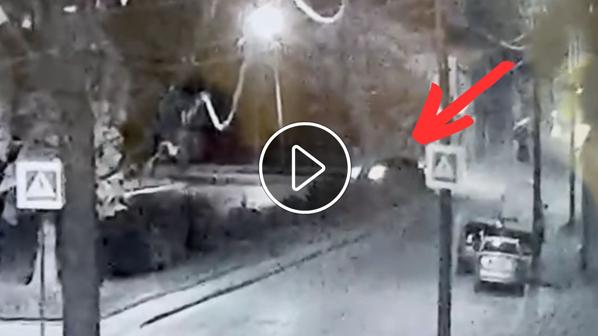Момент пошкодження тюльпанової алеї в Мукачеві потрапив на камери відеоспостереження.