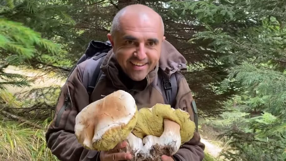 "6 в 1 или грибной букет": в Карпатах нашли чудо-гриб (ВИДЕО)