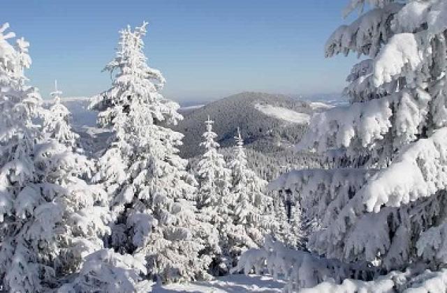 Температура повітря вночі 1-6°, на високогір'ї до 9° морозу, вдень 2-7° тепла, в горах місцями 1-6° морозу.