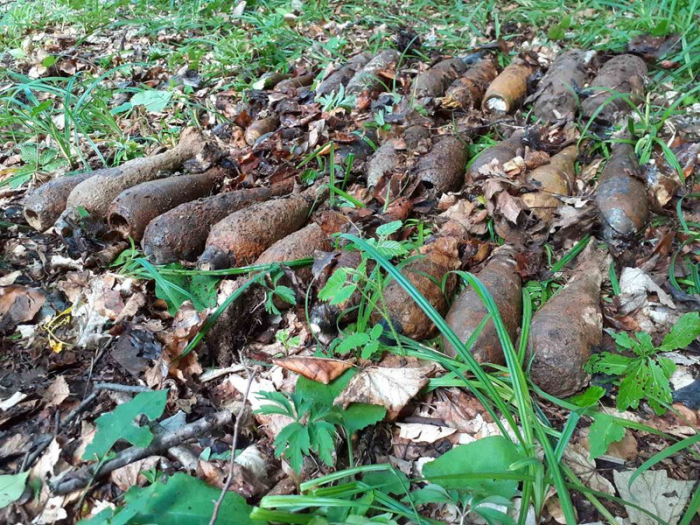 11 июня для жителя Ужгородского района сбора грибов завершилось выявлением артиллерийского снаряда. Происшествие случилось в урочище “Дил” вблизи села Ярок.