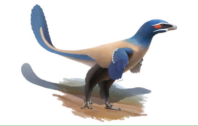 Канадські вчені виявили новий вид динозаврів - Альбертавенатор.