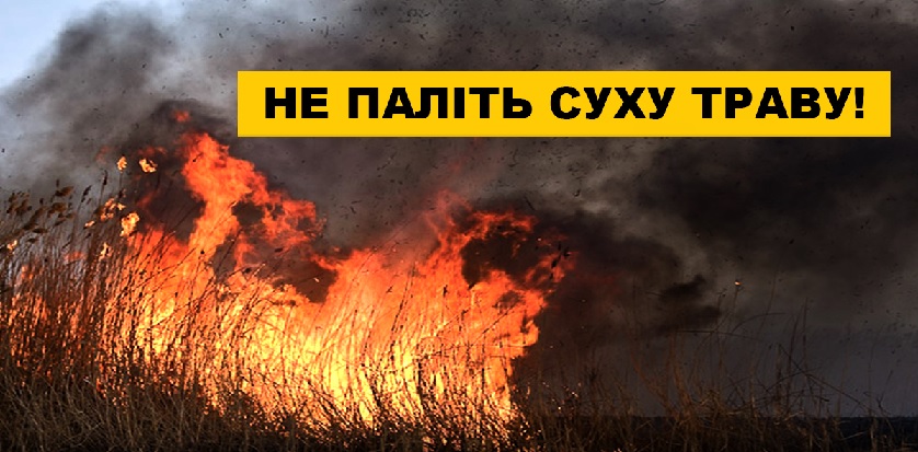 "Совісті в людей немає": На Закарпатті палії трави знищили вогнем майже 10 гектарів сухостою