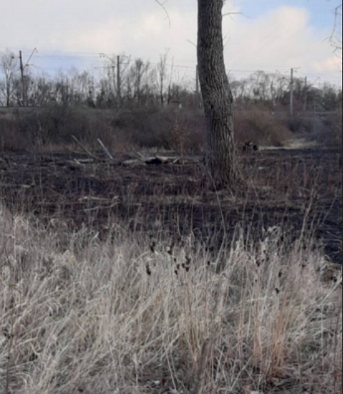 Поджигатели сухой травы испепелили места краснокнижных «диких тюльпанов» в Николаевском районе Львовщины.