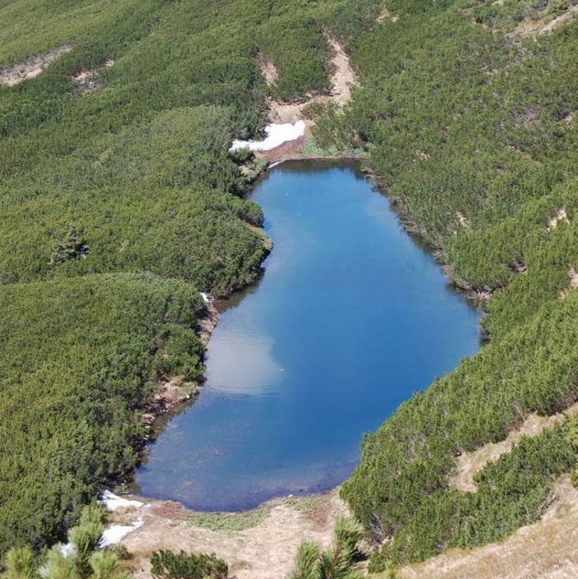 Верхнє – озеро льодовикового походження в Українських Карпатах, у межах Рахівського району Закарпатської області.