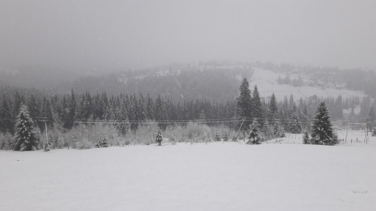 Турист із Києва застряг у глибокому снігу у горах на Рахівщині, катаючись на лижах.