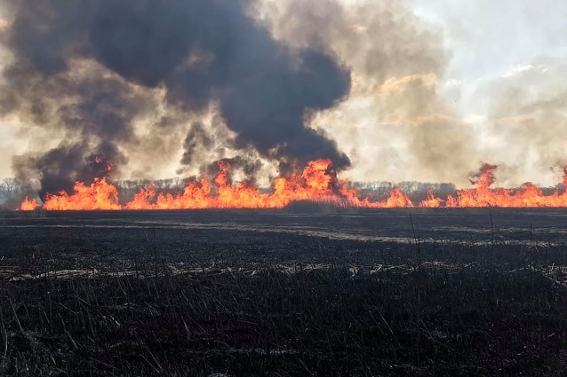 Усього пожежами знищено 22 га сухої трави.