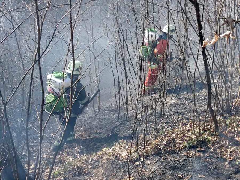 На Закарпатті стрімко зростає кількість пожеж в екосистемах. Лише за минулу добу в області зареєстровано 49 загорань сміття, сухої трави й чагарників на відкритій території. 