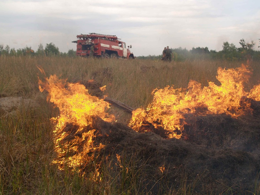 За вихідні дні на території Виноградівського району зареєстровано 3 випадки пожеж з загорянням сухої трави, в результаті яких вигоріло більше 5 гектарів сухотрав’я.